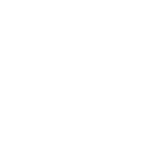 Pickleball Icon